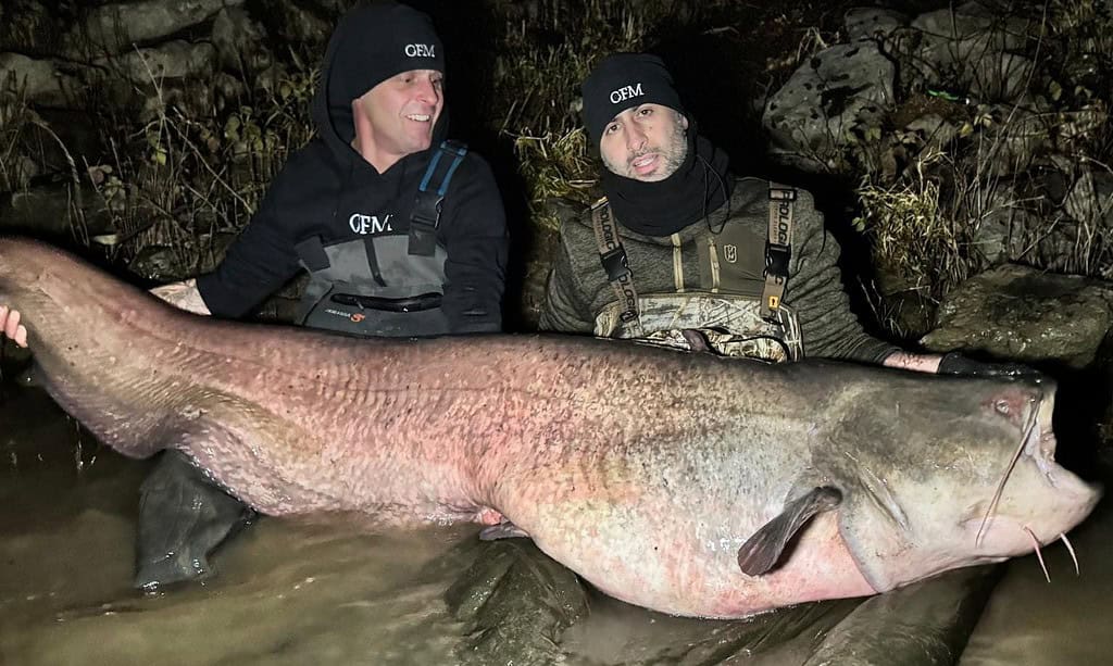 Twee mensen in visgerei houden 's nachts een grote meerval vast in ondiep water.