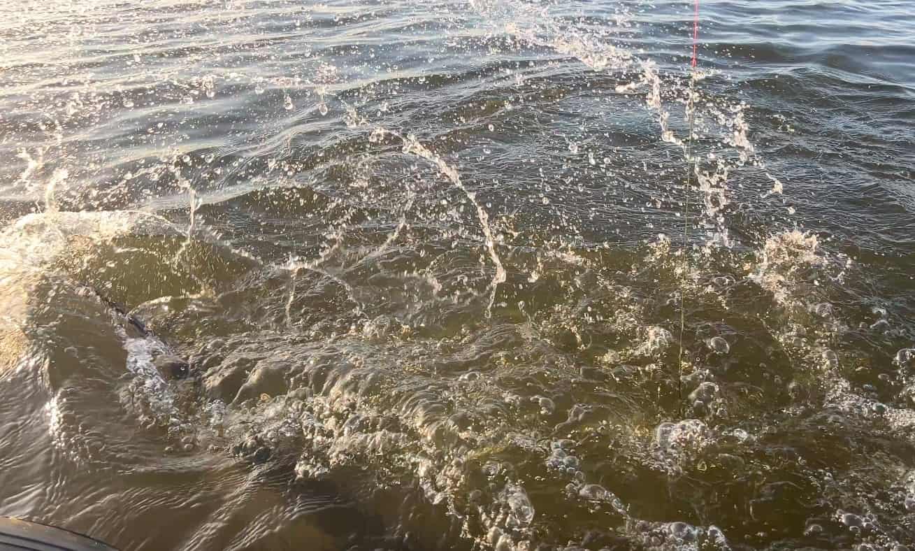 Het zonlicht weerkaatst op de golven en veroorzaakt rimpelingen en spetters op het oppervlak van het meer, terwijl deel 13 van de serene schoonheid van de natuur zich ontvouwt.