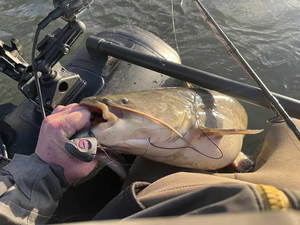 Persoon houdt trots een grote vis in één hand terwijl hij in een vissersboot zit, en toont de opmerkelijke vangsten van dat jaar. Een hengel en molen zijn zichtbaar, wat wijst op het onstuimig-avontuur dat hij net heeft meegemaakt.