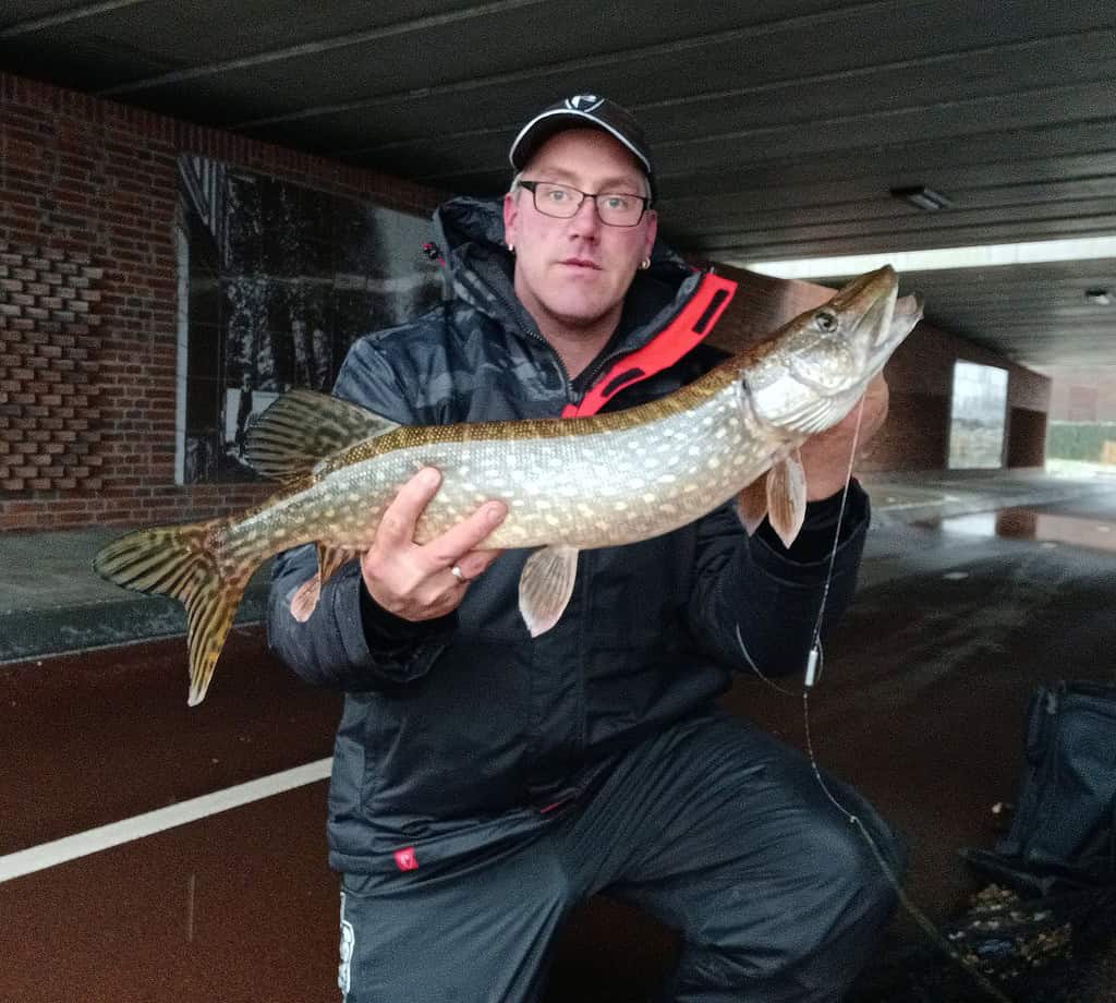 Persoon die een grote vis onder een brug vasthoudt, een pet en een donker jasje draagt, toont een indrukwekkende vangsten uit de onstuimig-week.