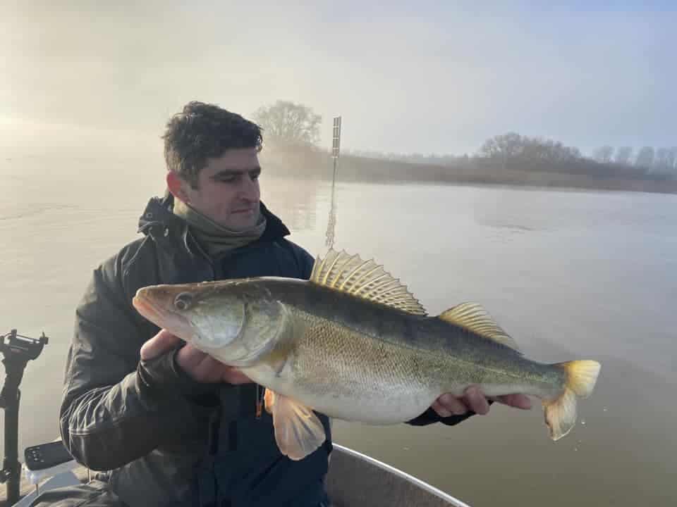 Onder een mistige hemel houdt een persoon van een grote vis op een grote boot, als onderdeel van de "vangsten van de week".