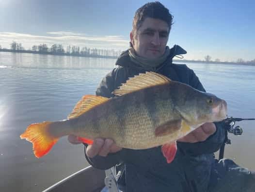 Een persoon toont trots een grote vis op een boot, terwijl hij het betere vangsten viert onder een kalm meer en een heldere hemel.