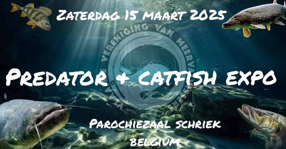 Duik in de "Predator + Catfish Expo" met zijn betoverende onderwaterthema op 15 maart 2025 in de Parochiezaal, Schriek, België. Met levendige vissen en het expo-logo presenteert dit evenement innovatieve automatische concepten die zowel liefhebbers als gewone bezoekers zullen boeien.