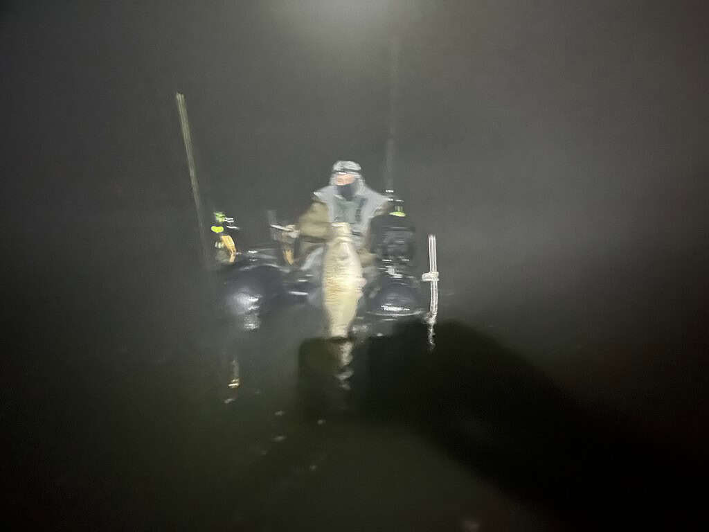 In de stilte van de nacht houdt een persoon een monsterlijke vis vast terwijl hij in een bootje zit, genietend van de spanning van zijn epische strijd tegen de natuur.