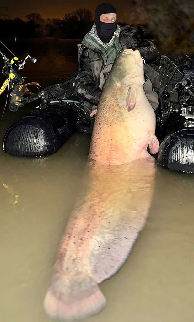 Een persoon op een boot toont vrolijk een grote vis, onderdeel van de serie 'vangsten van de week', die gedeeltelijk in het water ligt.