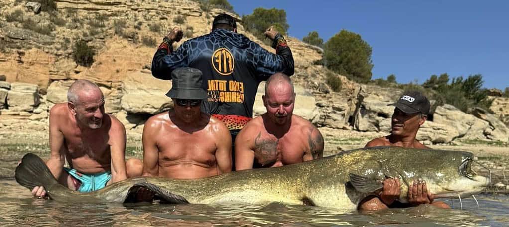 Vijf mannen zitten in ondiep water en tonen trots een grote meerval, gevangen tijdens hun meervalvissenavontuur op de Ebro. De man die achter hen staat draagt een donker jasje. Op de achtergrond maken een rotsachtig landschap en bomen dit verzorgde tafereel compleet.