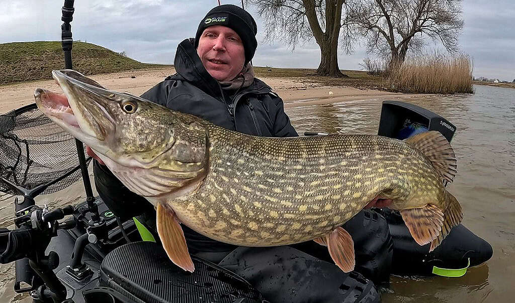 Een persoon die trots een grote snoek vasthoudt, zijn nieuwste vangsten van de week, terwijl hij in een viskajak zit bij een zandstrand met bomen op de achtergrond.