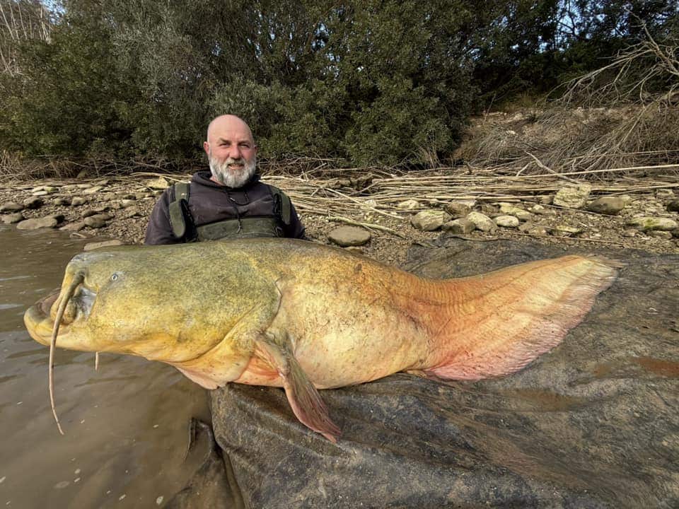 Een man toont trots zijn vangst, een grote meerval, op de oever van de rivier, tussen rotsen en bomen. Deze maand gebruikt hij Predatorgear voor een indrukwekkende vangsten.