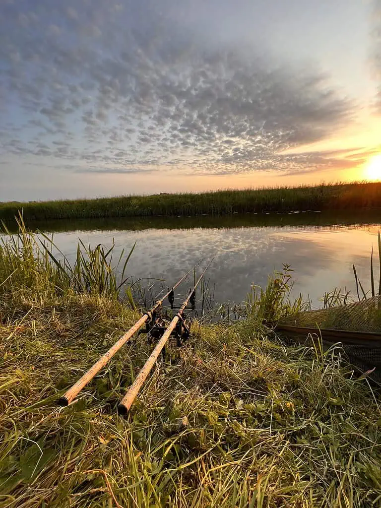 Twee hengels liggen op de oever van een met gras begroeide rivier bij zonsondergang, omringd door riet onder een bewolkte hemel. Perfect voor karpervissen in de serene schoonheid van het voorjaar.