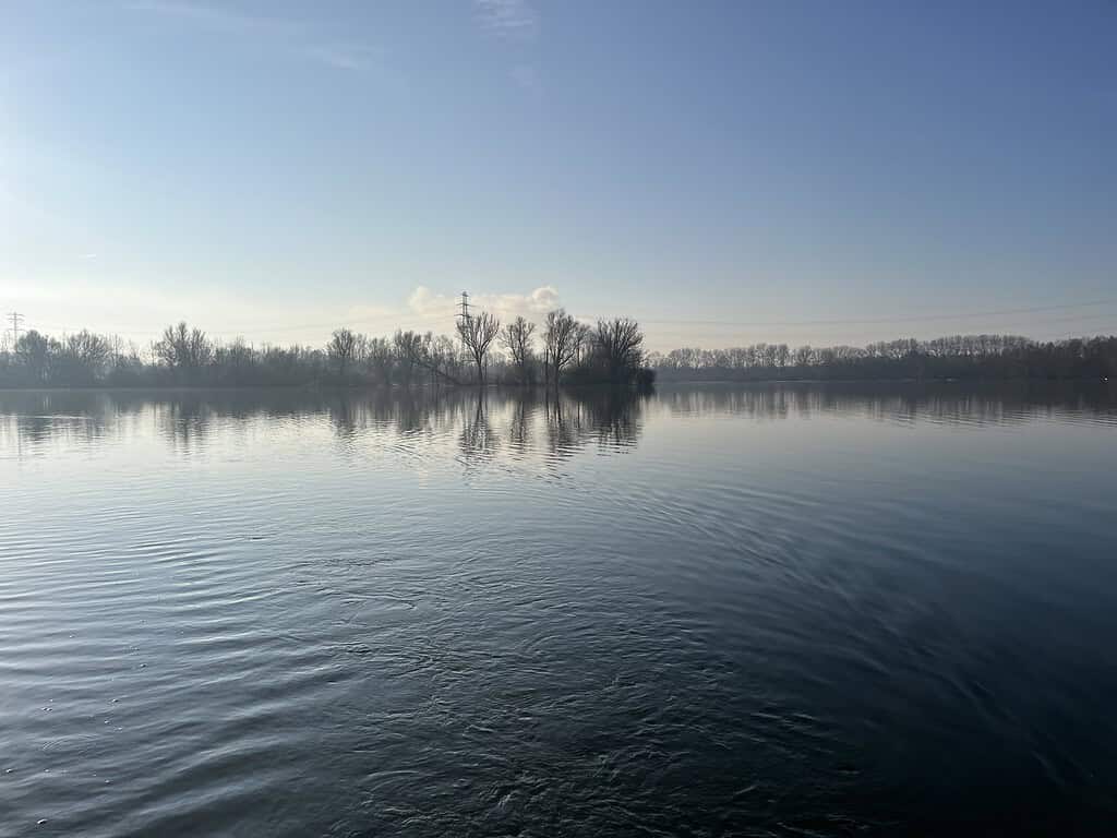 Een kalm meer met kabbelend water waarin de heldere lucht wordt weerspiegeld, omgeven door kale bomen aan de horizon in het zonlicht, creëert een sereen tafereel dat doet denken aan de wintervisserij in de plassen, waar subtiele bewegingen wijzen op de aanwezigheid van meerval onder het oppervlak.