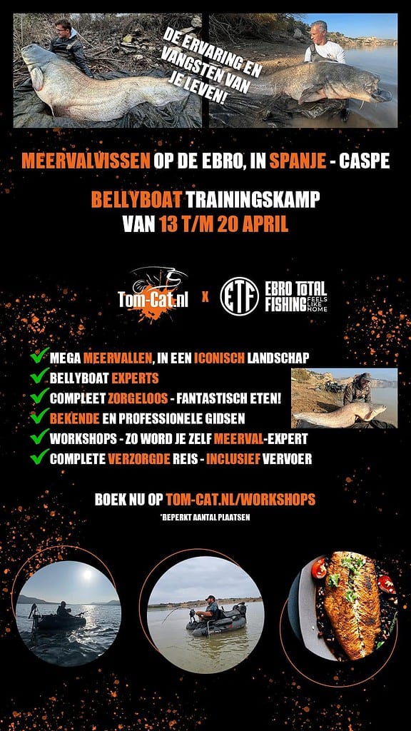 Doe mee aan ons trainingskamp voor meervalvissen in Caspe, Spanje, van 13 tot 20 april. Duik in meervalvissen-sessies onder leiding van experts langs de prachtige Ebro met goed georganiseerde activiteiten en levendige beelden van visavonturen. Mis deze verzorgde ervaring niet!.