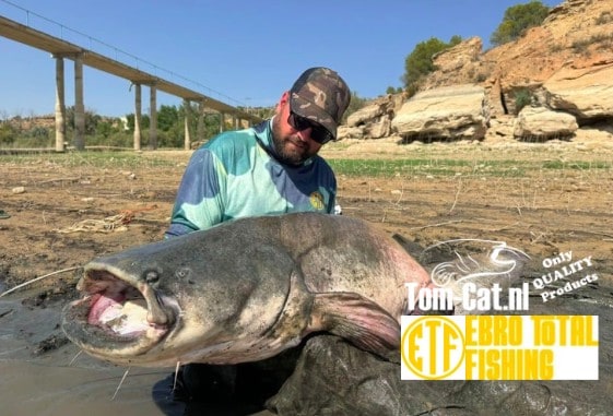 Persoon met camouflagepet die een grote meerval vasthoudt op een rivieroever, met een brug en rotsachtig landschap op de achtergrond. Logo's van "Tom-Cat.nl" en "Ebro Total Fishing" zijn zichtbaar.