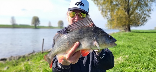 Struinen langs de Maas met de worm: dropshotvissen in de gesloten tijd