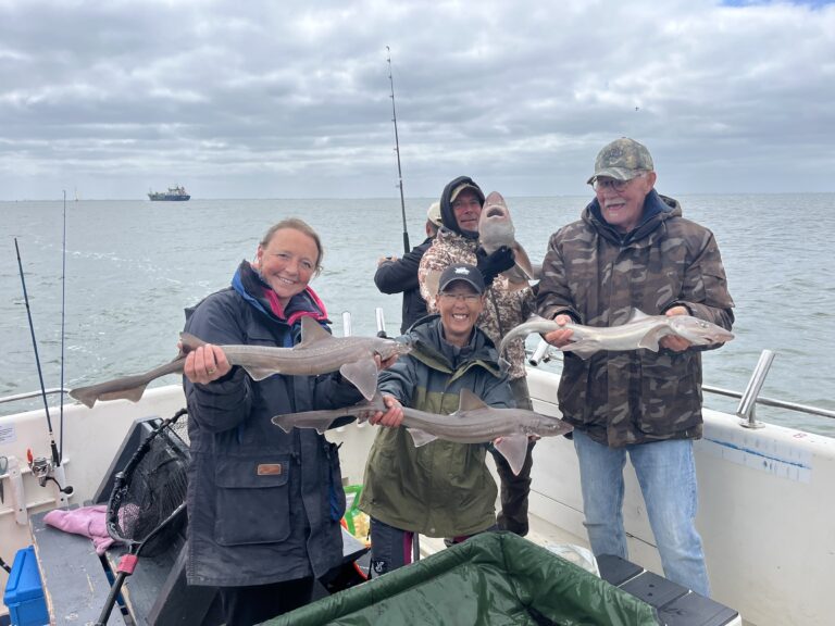 De eerste Viswereld Haaiendag was een groot succes!