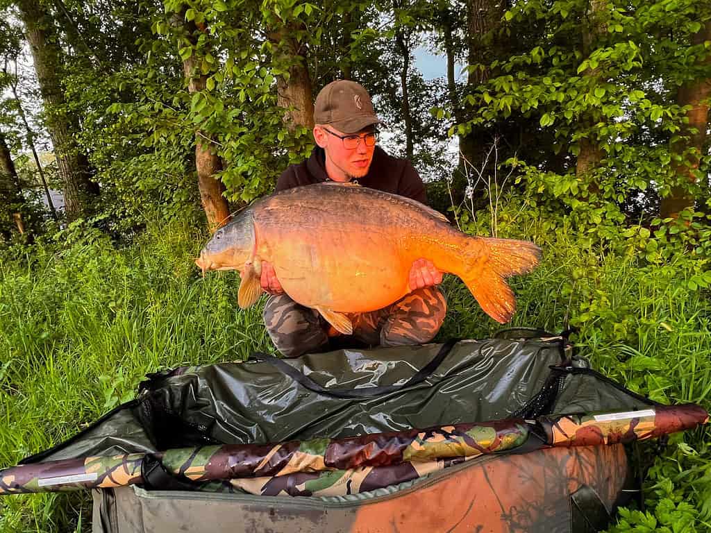 Een brildragende persoon en een pet, mogelijk een fervent karpervissenliefhebber zoals Gerco Bos, houdt een grote vis boven een vismat in een bosrijke omgeving, waarbij zonlicht het tafereel verlicht.