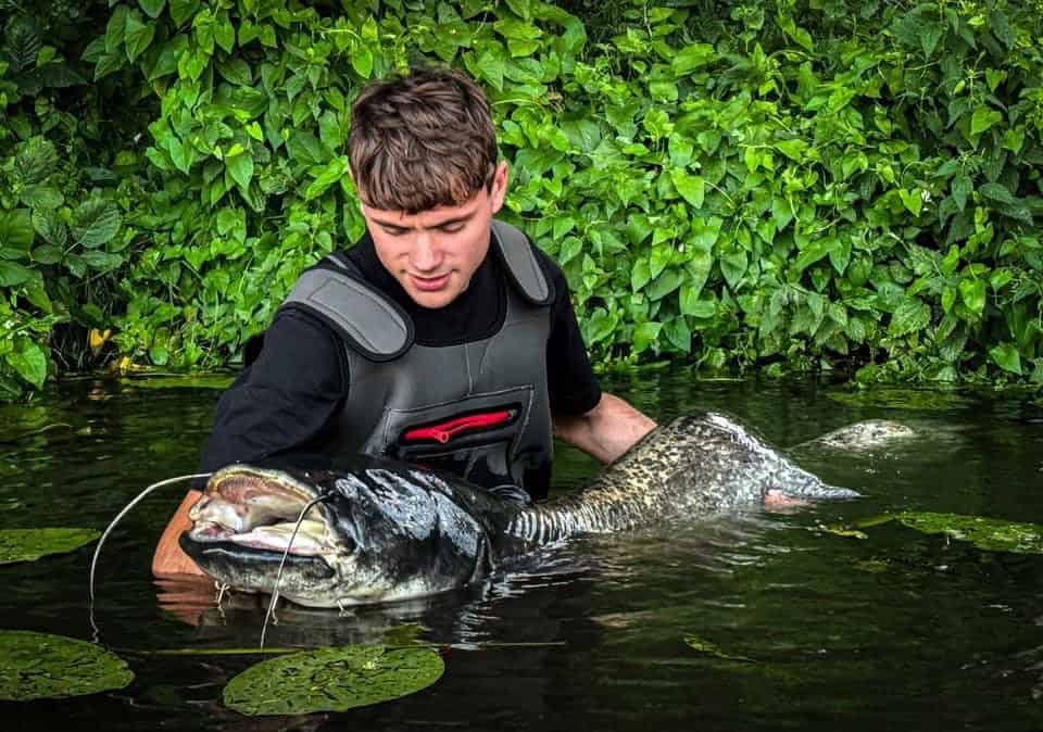 Een persoon in een wetsuit houdt een grote vis vast, gedeeltelijk ondergedompeld in water, omgeven door dicht groen, en laat zijn Vangsten zien van een avontuurlijke week vissen.