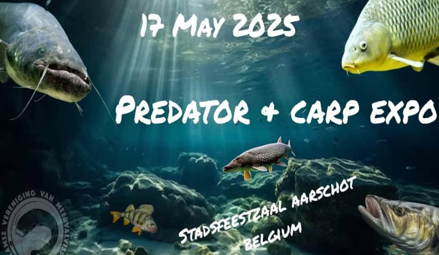 Poster met onderwaterthema voor de "Predator & Carp Expo" in Aarschot, België op 17 mei 2025, met verschillende vissen, waaronder een meerval, karper en een snoek.