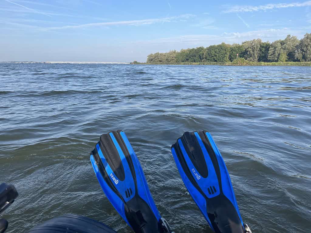 Uitzicht vanaf een boot met twee blauwe en zwarte vinnen op de rand, met kalm water en een verre, met bomen omzoomde oever onder een heldere hemel. Het is puur geluk, je één voelen met de natuur.