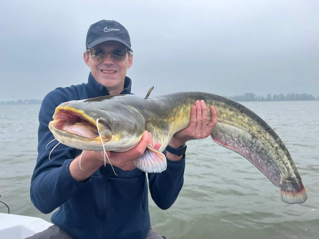 Een man met een donkere pet en een bril houdt een grote, twee meter lange meerval vast op een boot in een watermassa met een mistige achtergrond.