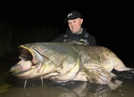 Een visser die net is begonnen aan zijn nachtvisavontuur, houdt's nachts trots een grote meerval in het water vast, beide vissen gedeeltelijk ondergedompeld.