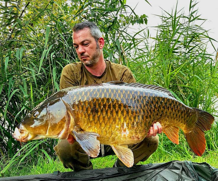 Een persoon houdt een grote karper vast in een buitenomgeving met groene vegetatie op de achtergrond, mogelijk in de buurt van een groot water.