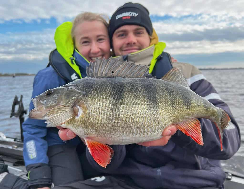 Twee personen op een boot houden een grote vis met opvallende strepen en rode vinnen vast tegen een achtergrond van water en een bewolkte lucht tijdens de Roofvis Experience reünie op 29 september 2024.