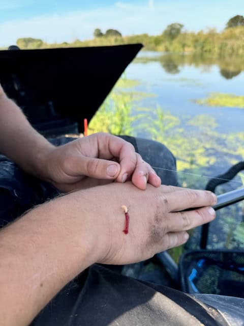 Een persoon met een klein vishaakje in de rug van zijn hand, zittend bij een waterpartij met op de achtergrond begroeiing, doet denken aan een scène uit een verslag van het NK Dobbervissen van Jelle Zwijnenberg.