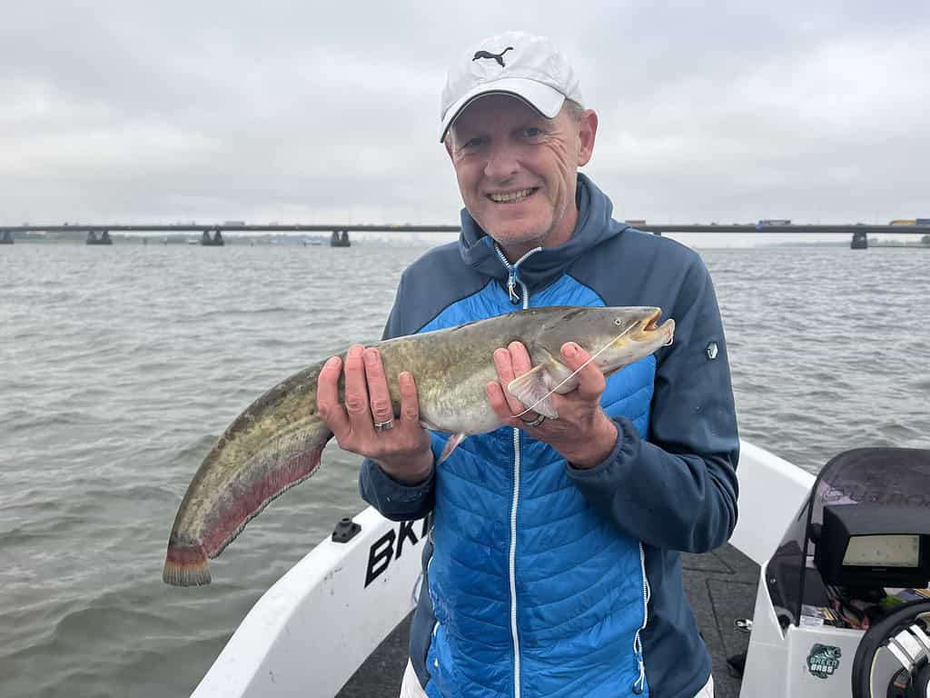 Een persoon in een blauw jasje en een witte pet lacht terwijl hij een twee meter lange vis vasthoudt op een boot in het water, met een brug op de achtergrond.