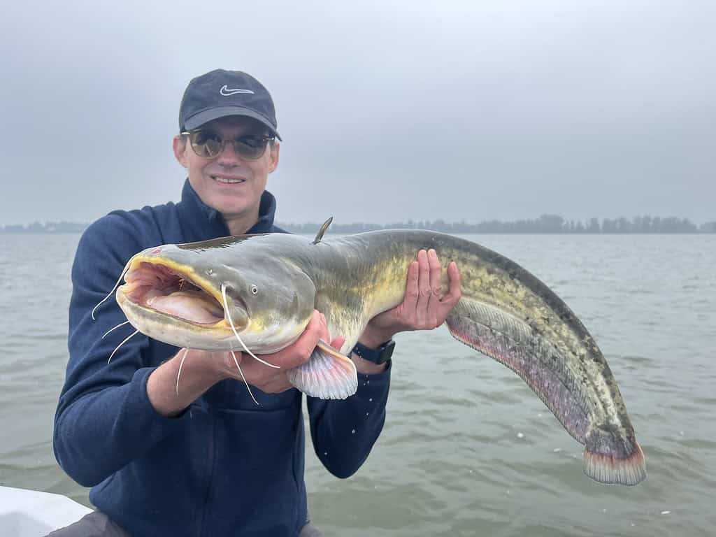 Een persoon met een zwarte pet en een zonnebril houdt een grote meerval vast op een boot, met water en verre bomen zichtbaar op de achtergrond - echt een van die prachtige vangsten-dagen.