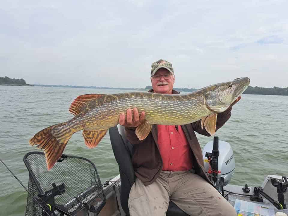 Man zit in een bootje en houdt een grote vis in beide handen vast. Hij laat een van de prachtige vangsten zien, met water en een bewolkte lucht op de achtergrond.