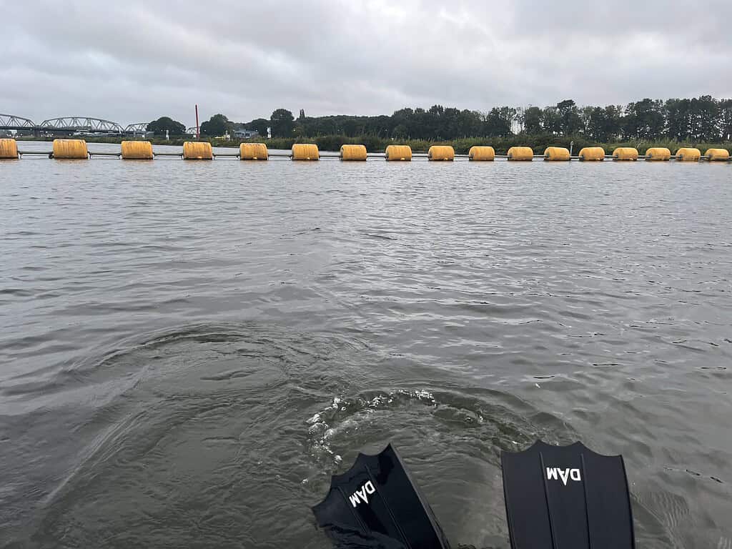 Een watermassa met gele drijvende barrières in de verte en twee zwarte zwemvliezen gedeeltelijk ondergedompeld op de voorgrond, ongeveer twee meter uit elkaar. Bomen en een brug zijn zichtbaar aan de horizon onder een bewolkte lucht.