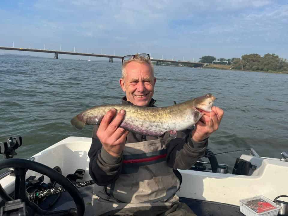 Een man in een boot houdt een vers gevangen vis omhoog, lachend. Een grote brug overspant de rivier op de achtergrond onder een gedeeltelijk bewolkte lucht, en toont het gevarieerde kleurenpalet van de natuur.