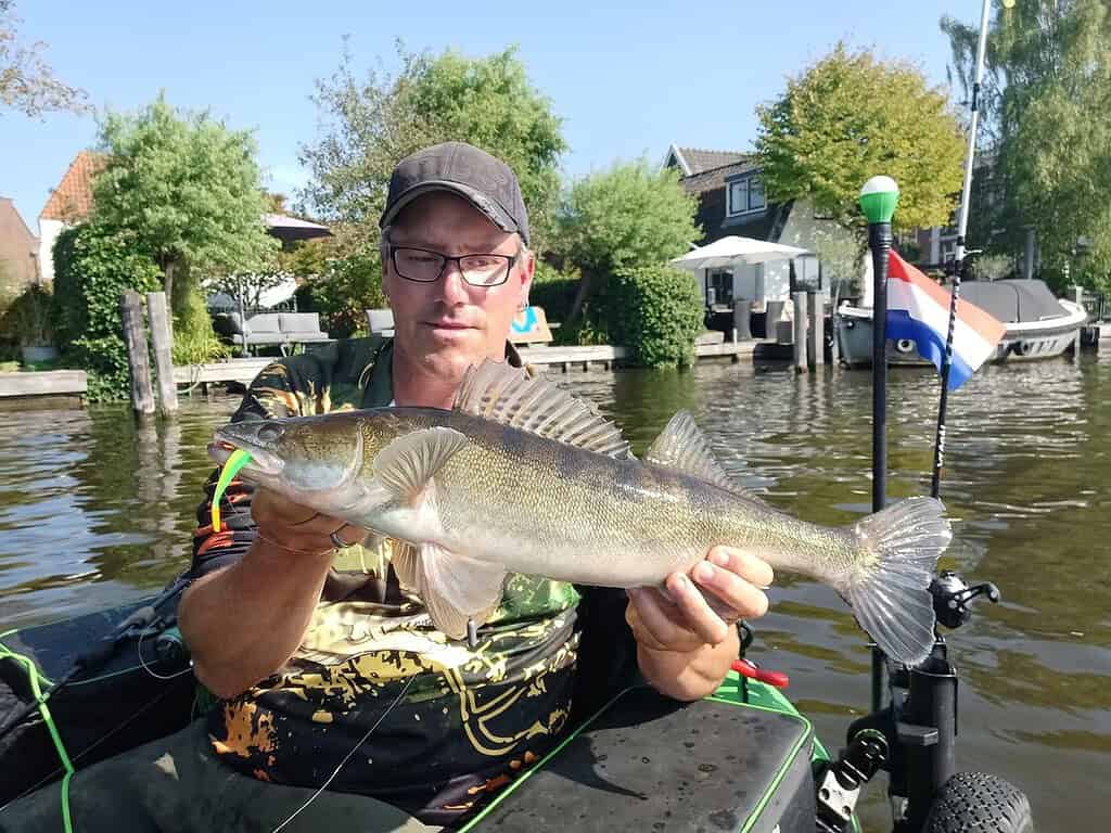 Een man met een pet en een bril houdt een grote vis vast terwijl hij op een boot in het water zit. Er zijn huizen, bomen en dokken zichtbaar op de achtergrond, wat een prachtig palet van serene landschappen creëert.