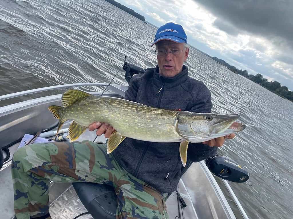 Een persoon met een blauwe pet en een camouflagebroek houdt een grote vis vast, die één van de vangsten van de week laat zien. Hij zit in een bootje op het water onder een bewolkte hemel.