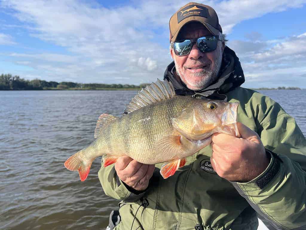 Een persoon met een zonnebril en een pet houdt een grote vis vast op een boot met een meer op de achtergrond.