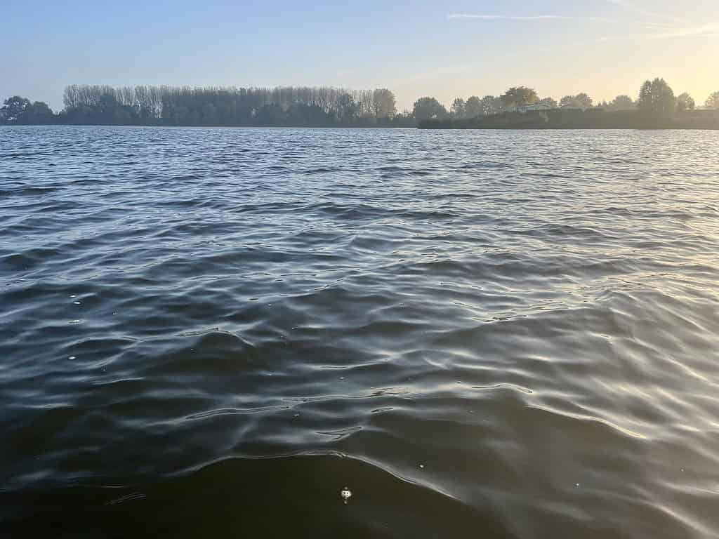 Het kalme wateroppervlak strekt zich uit, met een boomgrens die dichterbij lijkt dan ooit onder de heldere hemel bij zonsopgang.