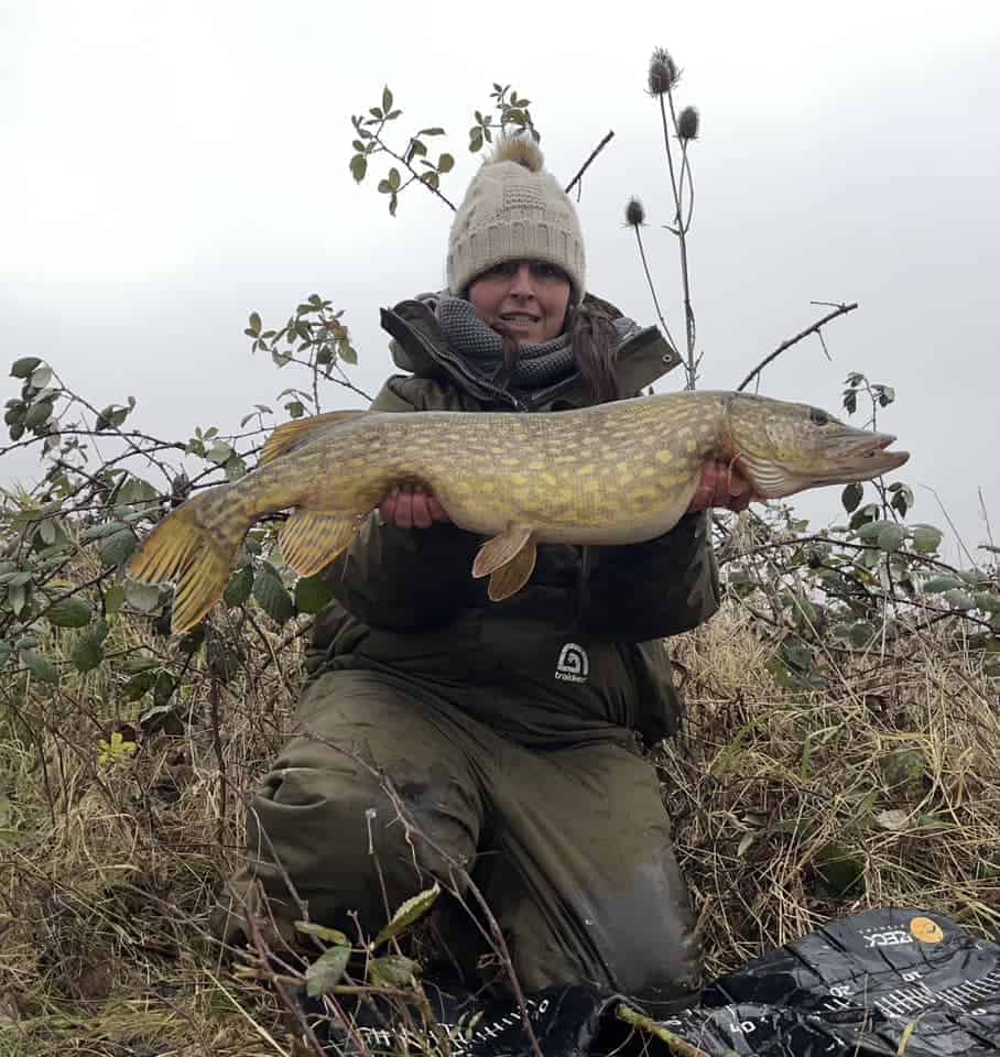 Een persoon in winterkleding toont trots een grote roofvis die hij heeft gevangen, tegen een achtergrond van droge vegetatie, zoals te zien in "Vangsten van de week.