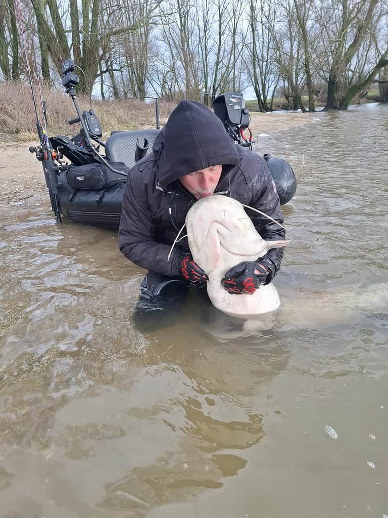 In ondiep water bij een boot, onder een bewolkte lucht en omringd door bomen, houdt een persoon in een zwart jasje trots zijn vangsten vast: een grote meerval die hij heeft gevangen tijdens een spannende week roofvisvissen.
