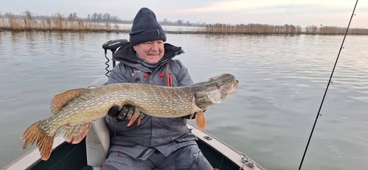 Een man met een muts en een jas zit in een bootje op het meer en toont trots zijn vangst van roofvis tussen het riet.