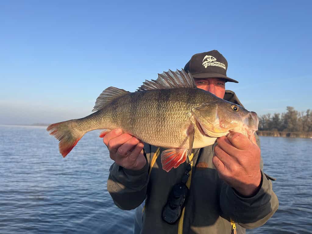 Op 23 januari, onder de serene luchten van Almere, houdt een persoon trots een grote vis met puntige vinnen vast op een boot. Het kalme water weerspiegelt de vredige bomen op de achtergrond, wat de geest van "Vecht voor je recht" weerspiegelt.