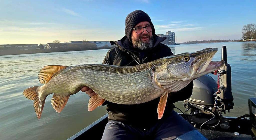 Man op een boot met een grote vis, waarschijnlijk een snoek, vlak bij de oever van een rivier met gebouwen op de achtergrond.