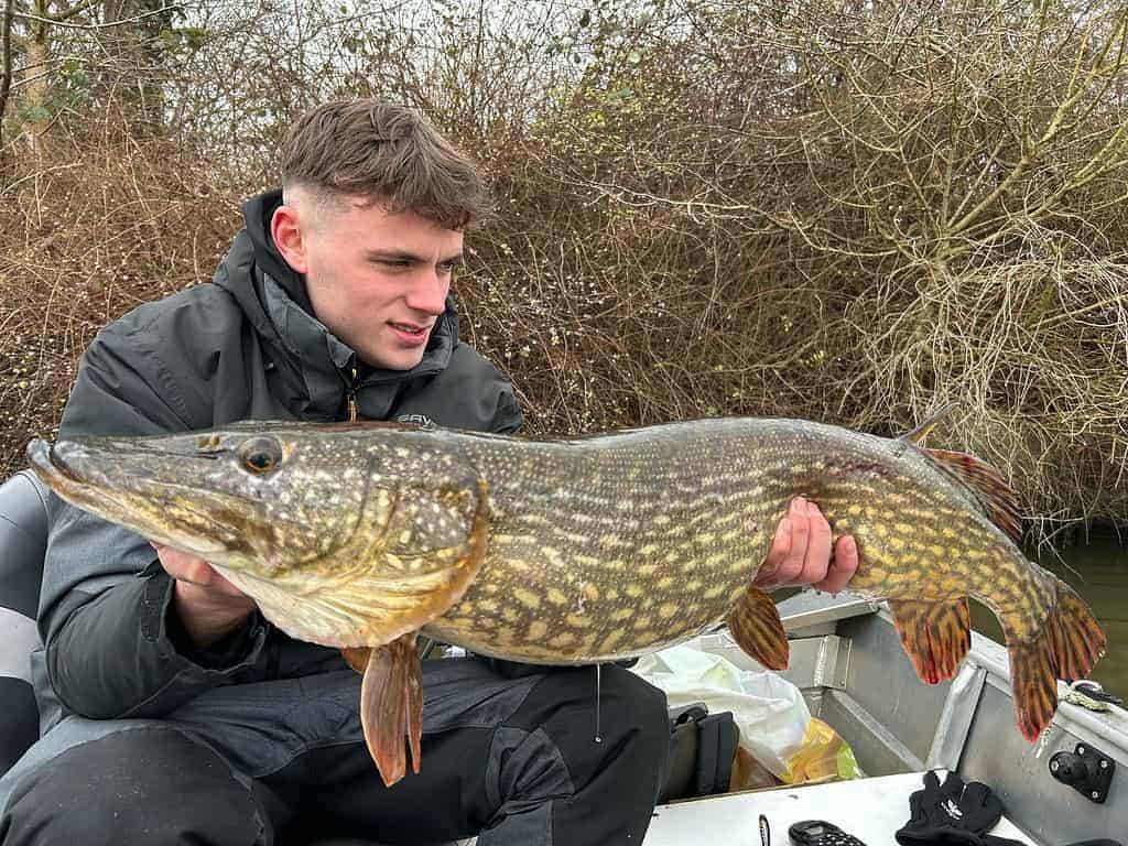 Persoon die een grote vis vasthoudt op een boot, met bladloze struiken op de achtergrond.