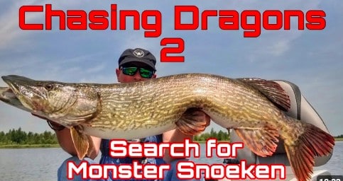 Chasing Dragons deel 2: jagen op monstersnoeken met Hilco van Nuil!