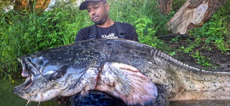 Strijden voor het monster: wéér een MEGA bak voor de Cat Fish Matties!!