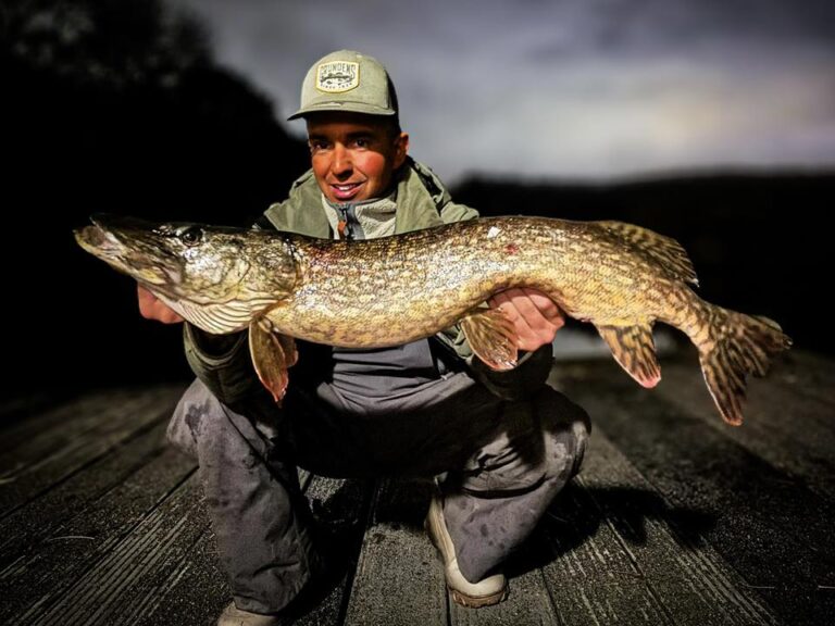 Vangsten van de week: beter weer, betere vangsten!