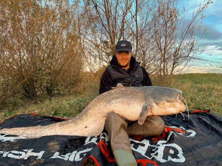 Vangsten van de week: ditmaal een 100% roofvis editie!