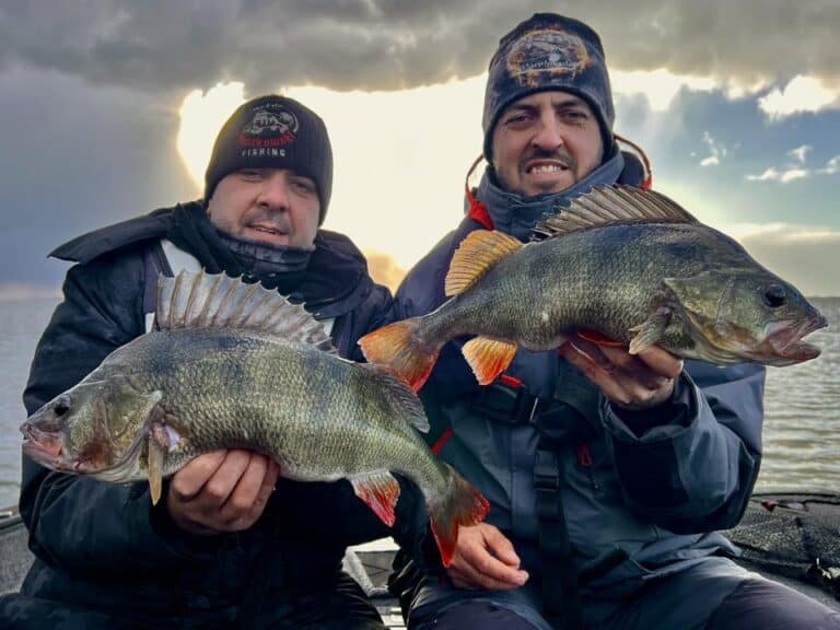 Vangsten van de week: een bomvolle show met bijzondere vangsten!