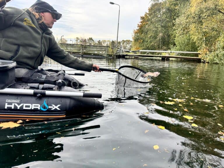 Vliegvissen op forel vanuit de bellyboat met Paula Petiet