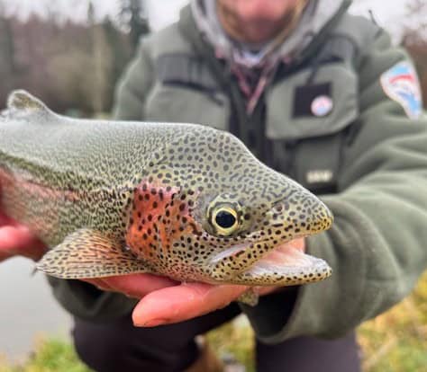 Vliegvissen in de Waalse Ardennen: Cindy en Paula gingen op jacht naar forel!