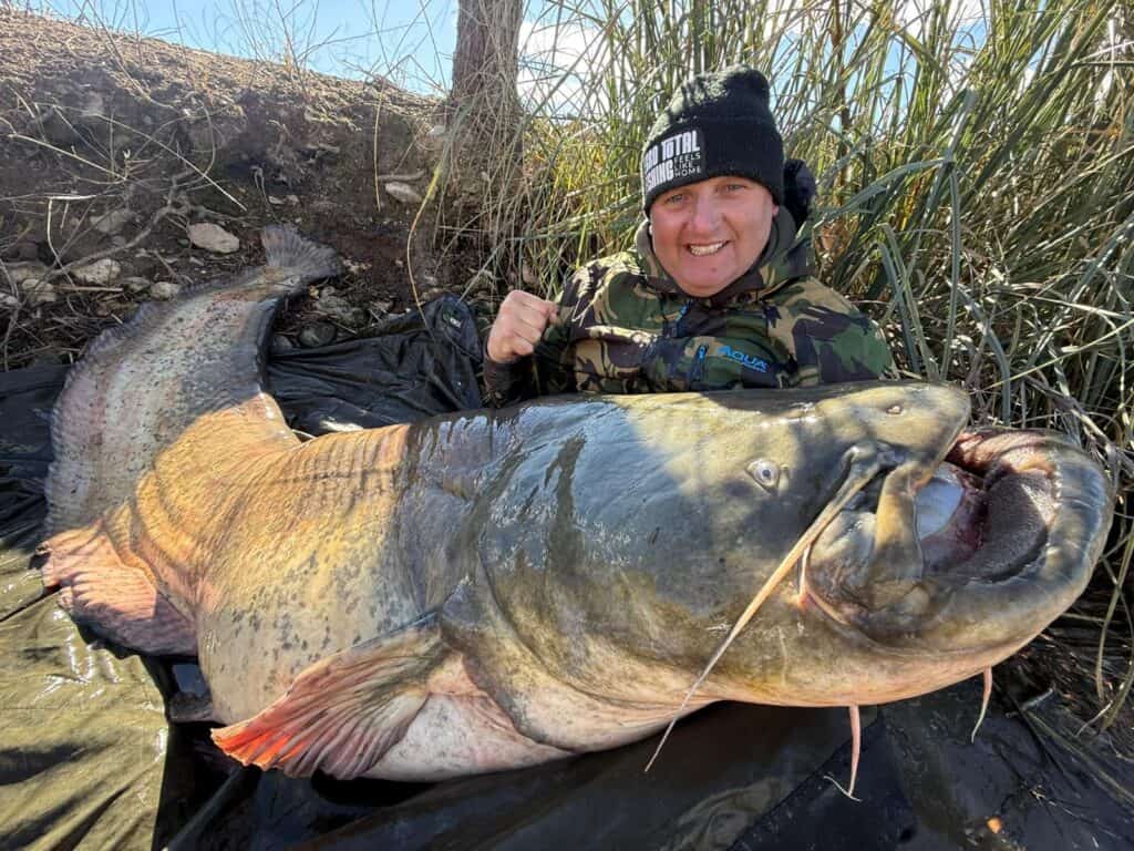Monster meerval van 252 centimeter